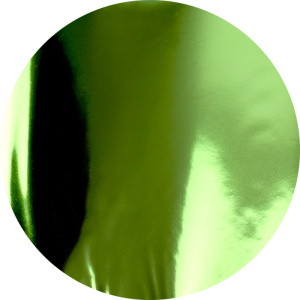 Foil 13