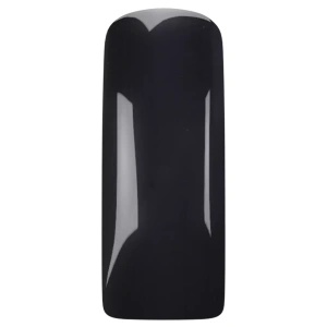 Magnetic Color Acryl Black 12g 107008